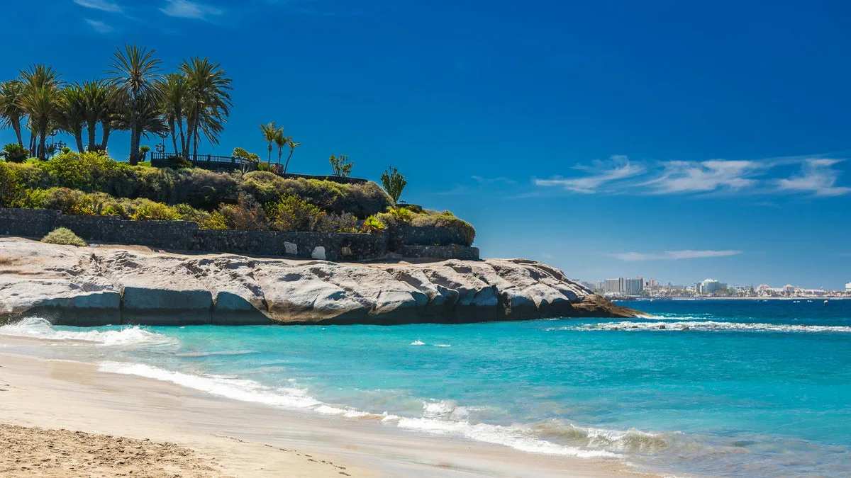 Playa del Duque beach in Adeje, Tenerife, with palm trees – guide to Adeje cannabis clubs and membership